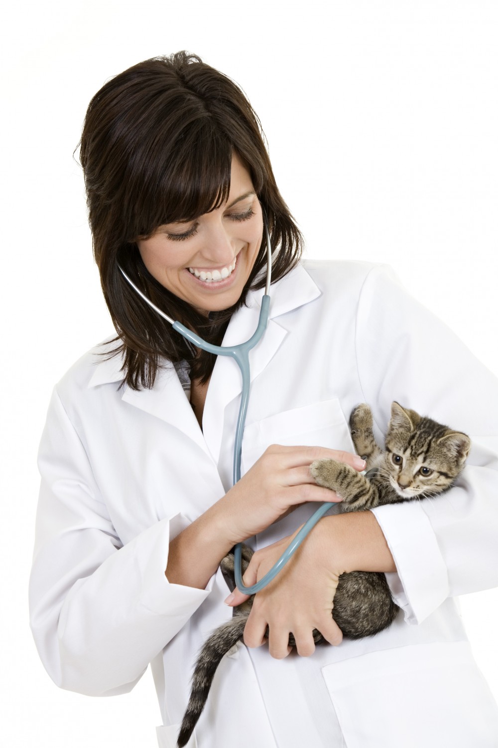 Doctor with Cat