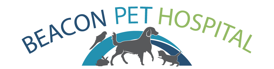 Beacon Pet Hospital Logo