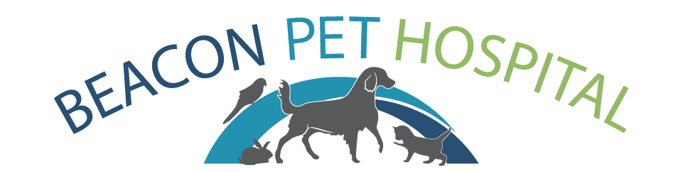 Beacon Pet Hospital Home