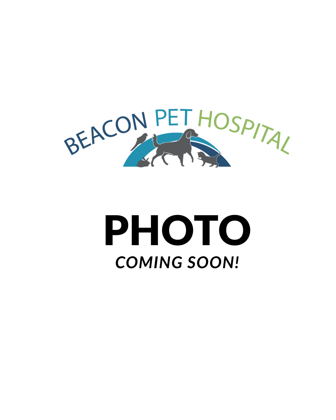 Photo coming soon