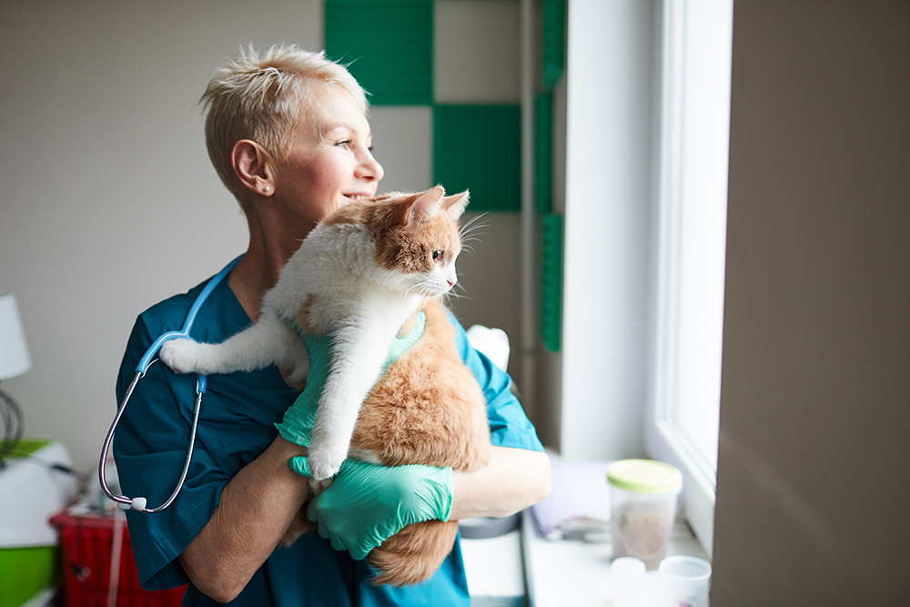 Comprehensive & Geriatric Medical Exams - Woman Holding Cat